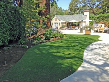 Artificial Grass Photos: Fake Pet Turf Corona California Landscape
